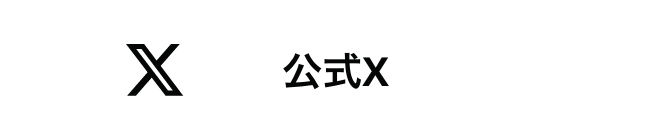 公式X