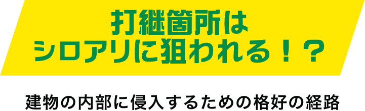 打継箇所はシロアリに狙われる！？